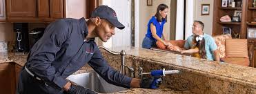 Best Residential Pest Control  in Rushville, IN